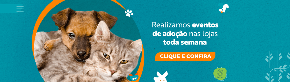 Adoção: você está preparado para cuidar de cachorro ou gato?